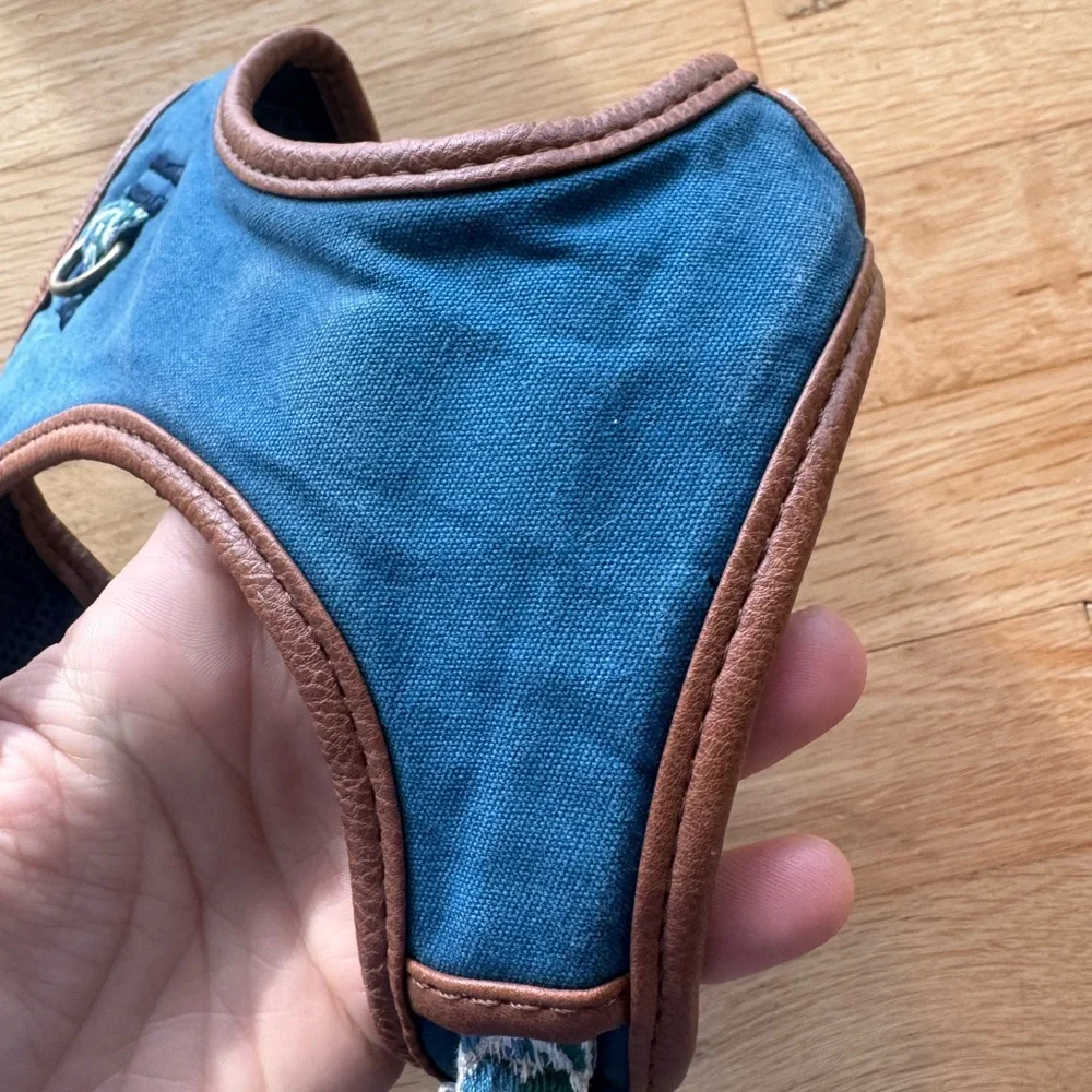 Top Paw Blue and Green Dog Harness